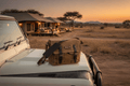 Tsavo Bag - Wally